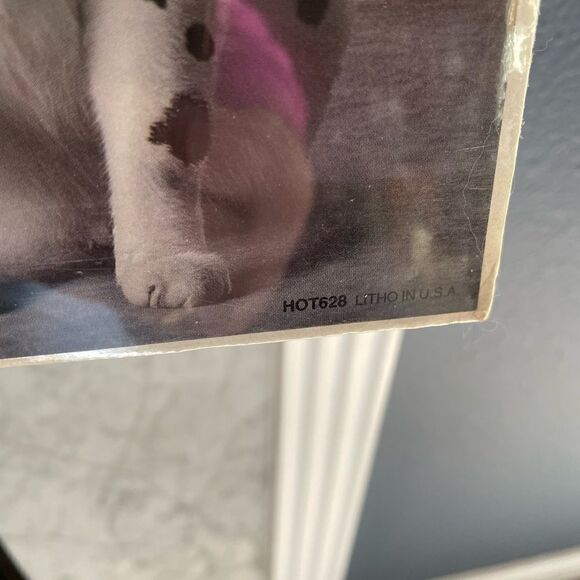 1991 Bybee/SF Dalmatian Cat Poster In A World Full of Copycats Be An Original - Picture 7 of 15